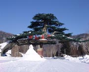 牡丹江天气预报60天
