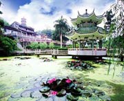 新兴今天天气