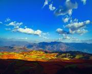 东川今天天气